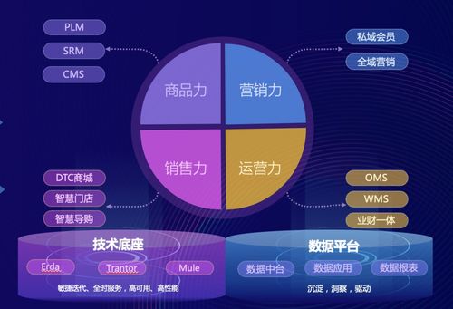 端點 四力模型 新銳品牌的未來數字化路徑探索