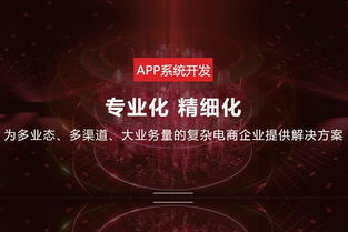 廣州快速系統平臺開發報價